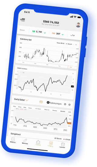 Storm Verdis digital web application on mobile device